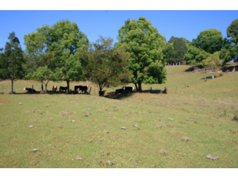 Crystal Creek NSW 2484