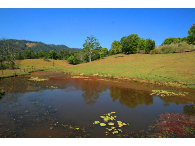 Crystal Creek NSW 2484