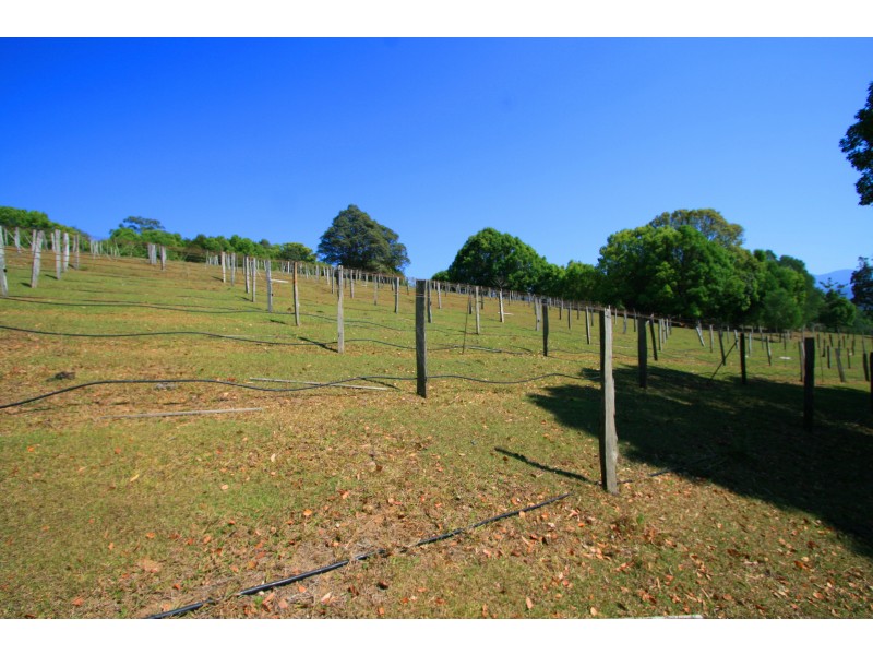 Crystal Creek NSW 2484