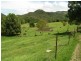 Crystal Creek NSW 2484