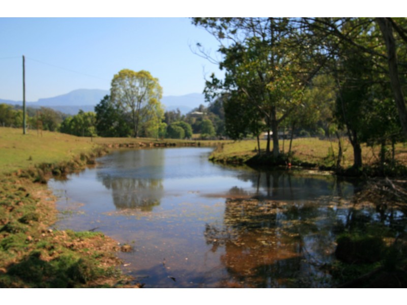 Crystal Creek NSW 2484