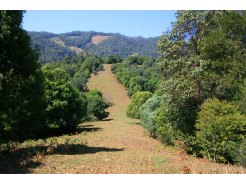 Crystal Creek NSW 2484