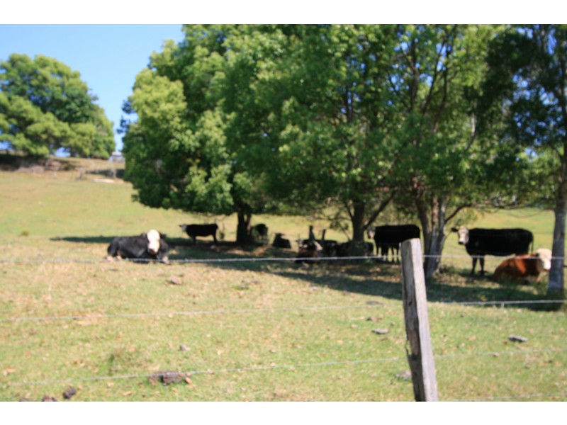 Crystal Creek NSW 2484