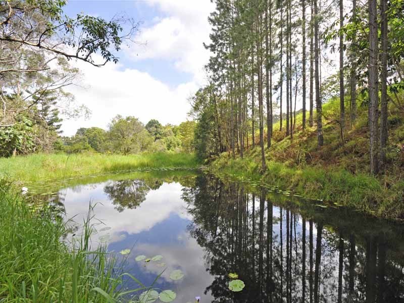 North Tumbulgum NSW 2490