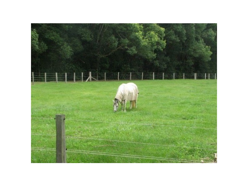 Crystal Creek NSW 2484