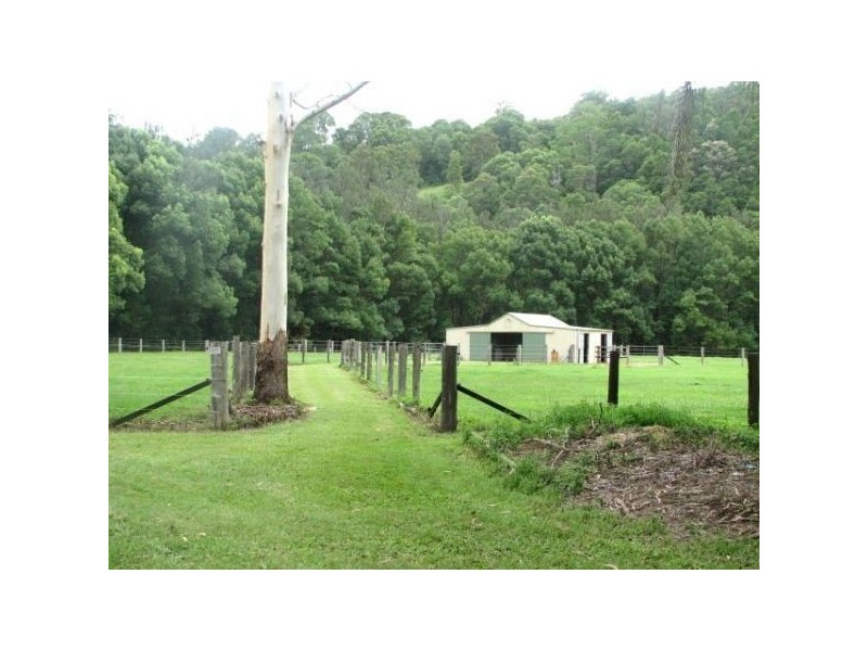 Crystal Creek NSW 2484