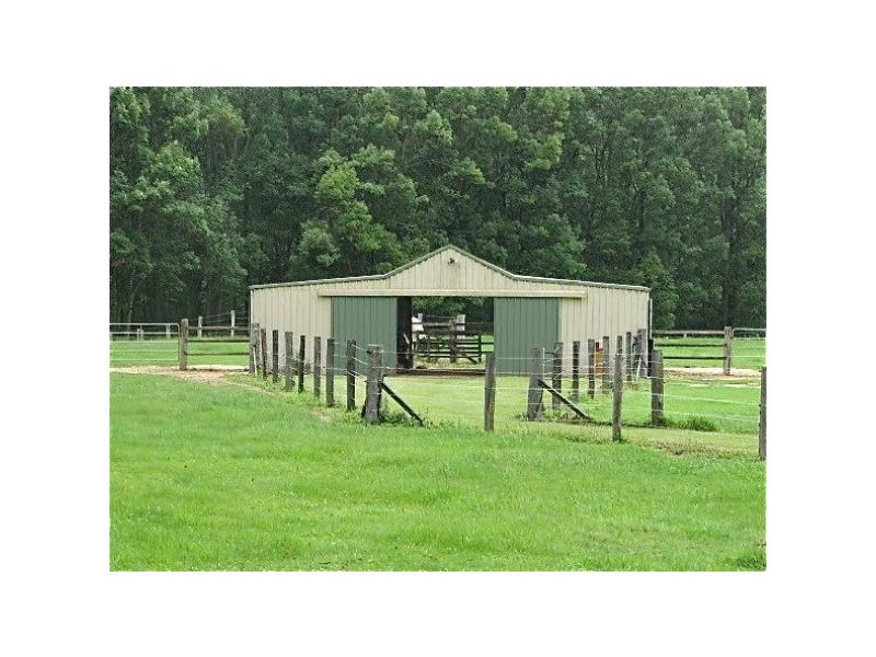 Crystal Creek NSW 2484