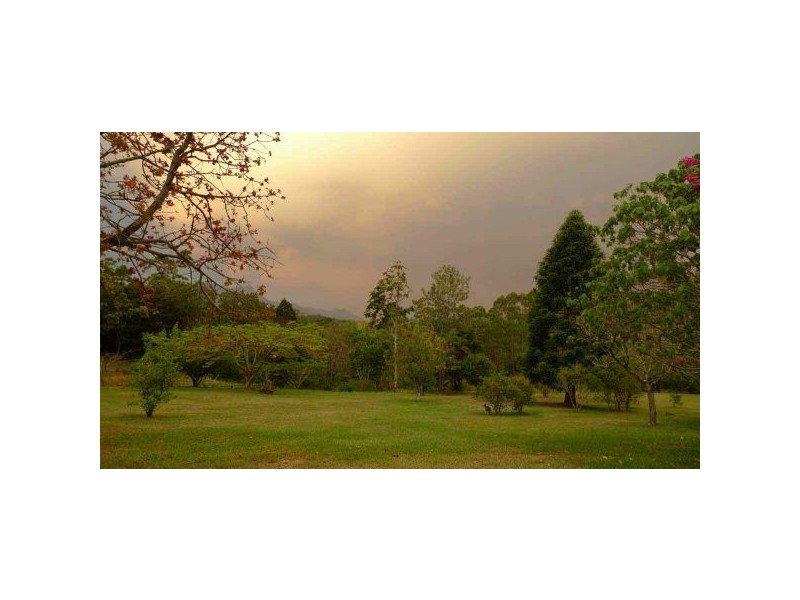 Mount Burrell NSW 2484