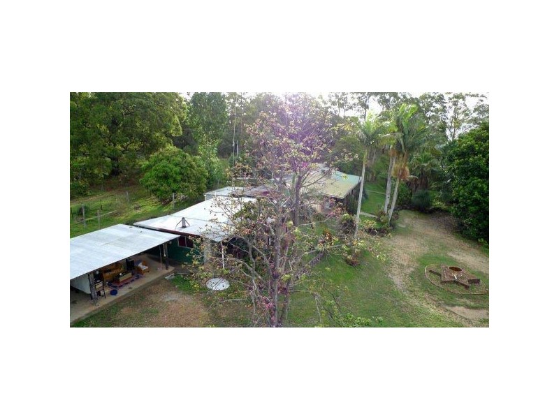 Mount Burrell NSW 2484