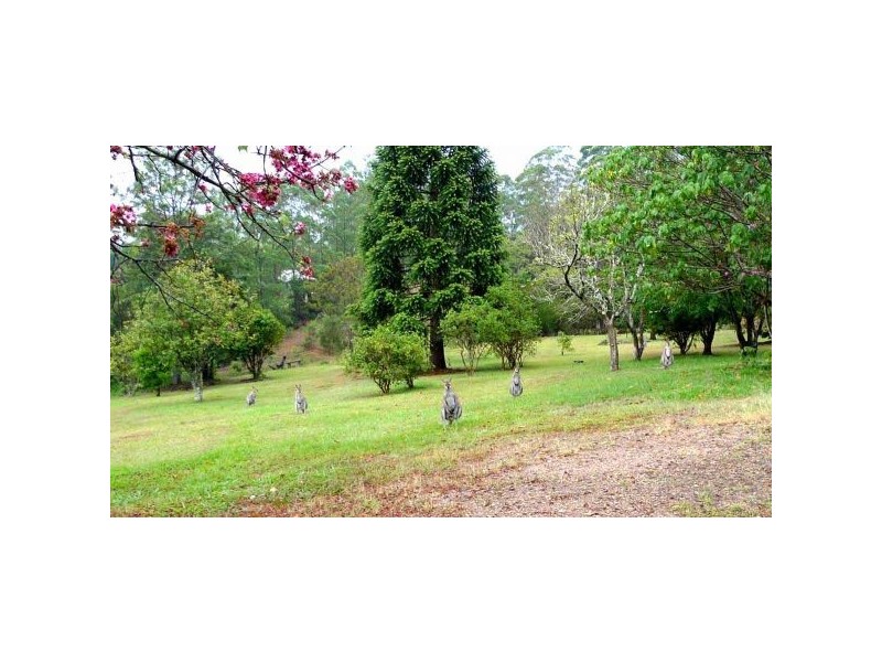 Mount Burrell NSW 2484