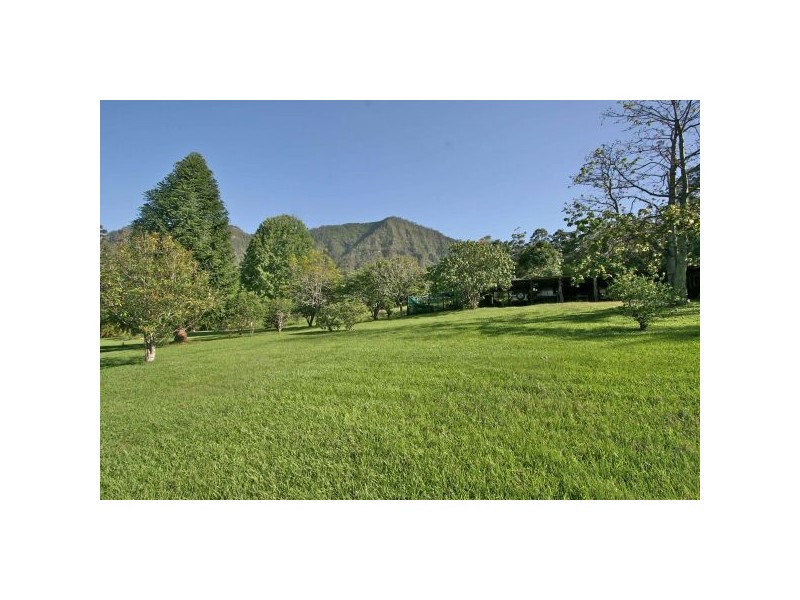 Mount Burrell NSW 2484