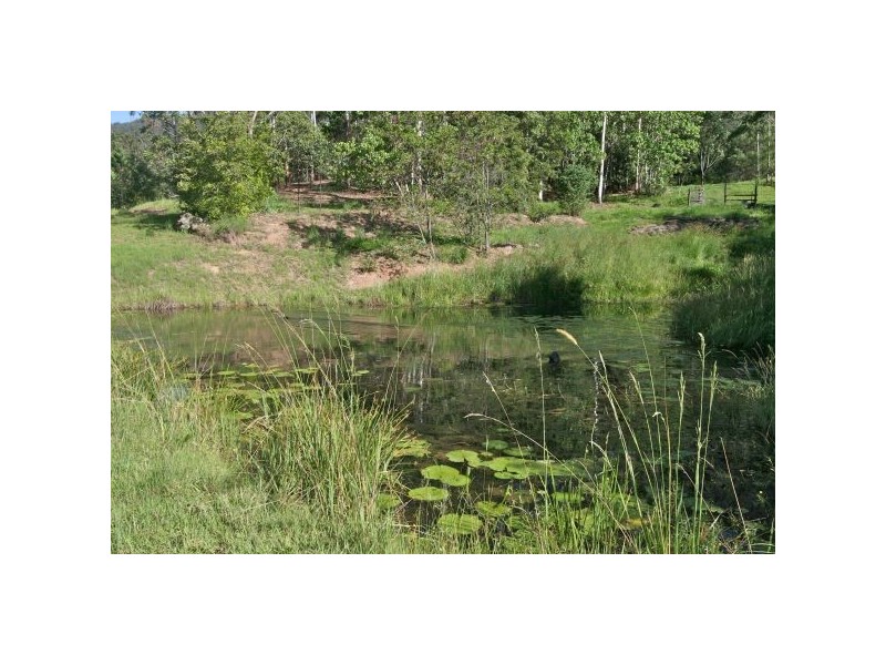 Mount Burrell NSW 2484