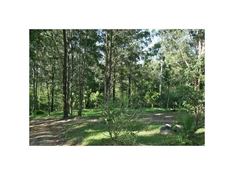 Mount Burrell NSW 2484