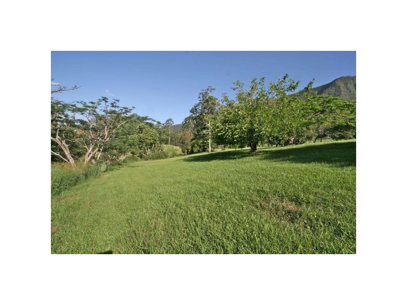 Mount Burrell NSW 2484