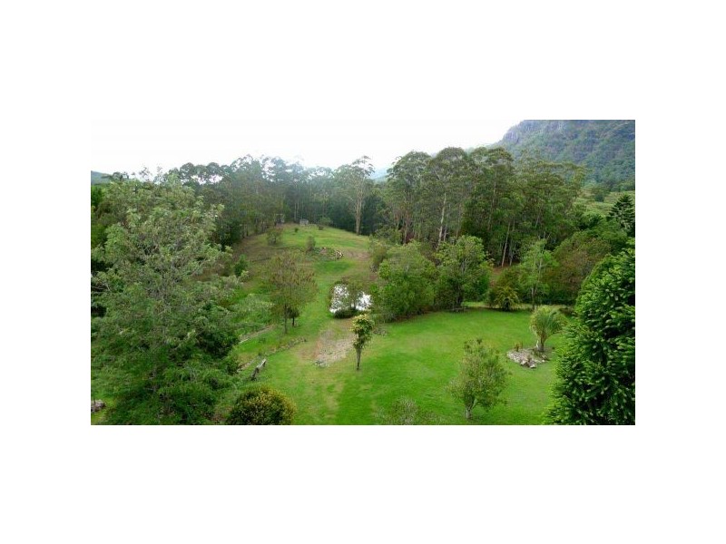 Mount Burrell NSW 2484