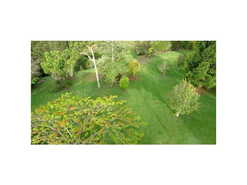 Mount Burrell NSW 2484