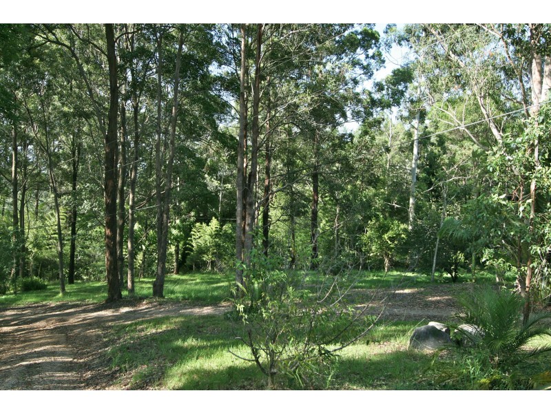 Mount Burrell NSW 2484