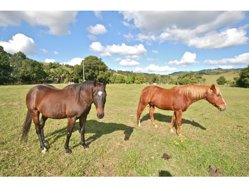 Tweed Heads NSW 2485