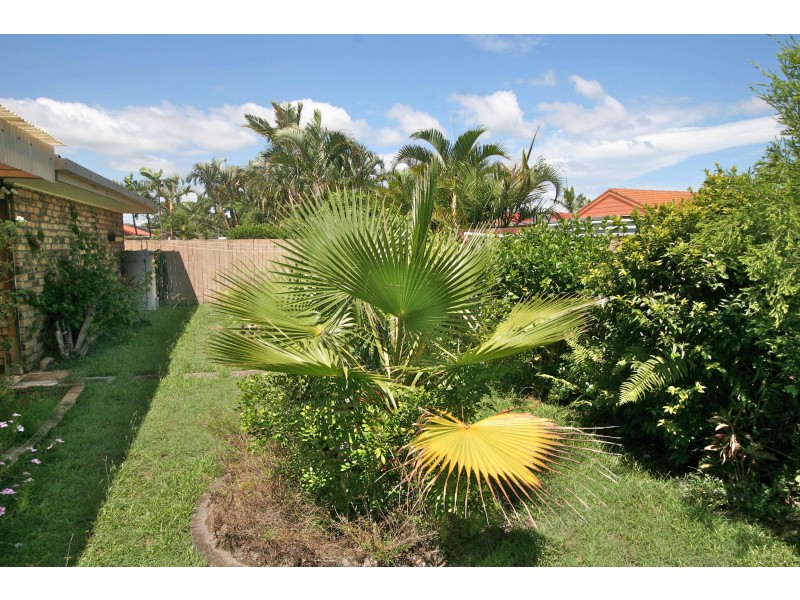 Tweed Heads NSW 2485