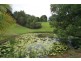 Dunbible NSW 2484