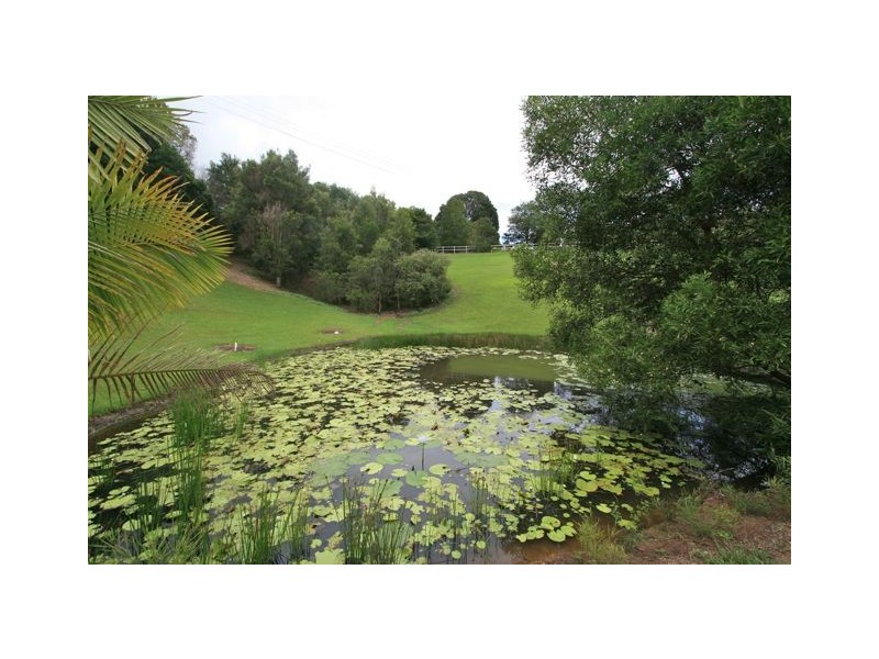 Dunbible NSW 2484