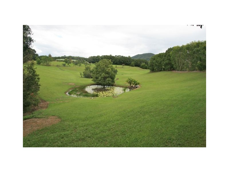Dunbible NSW 2484