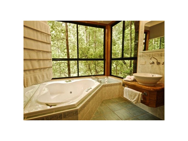 Murwillumbah NSW 2484