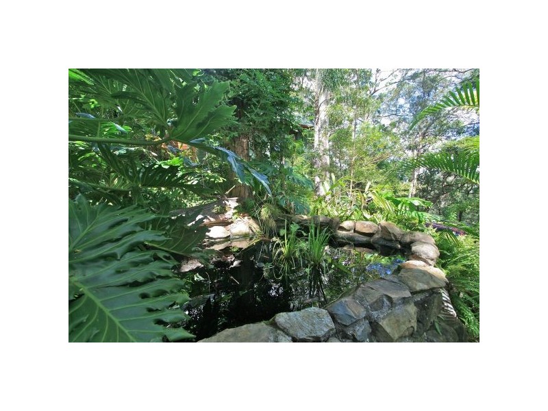 Murwillumbah NSW 2484