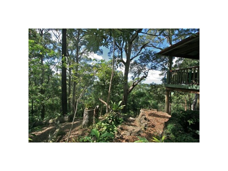 Murwillumbah NSW 2484