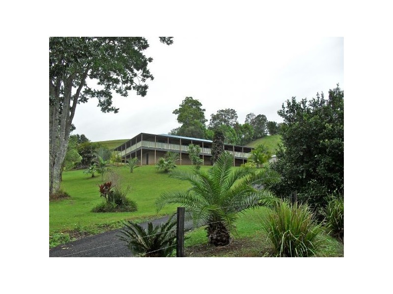 Nobbys Creek NSW 2484