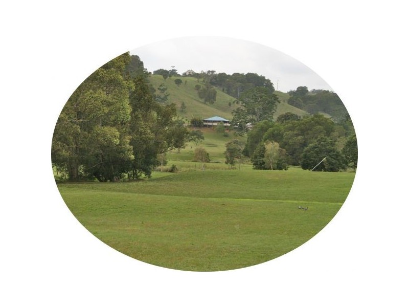 Nobbys Creek NSW 2484