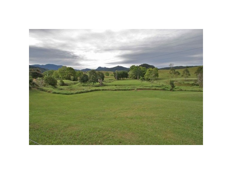 Nobbys Creek NSW 2484