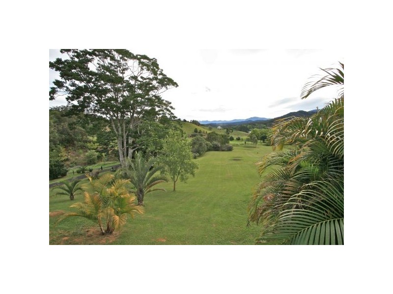 Nobbys Creek NSW 2484