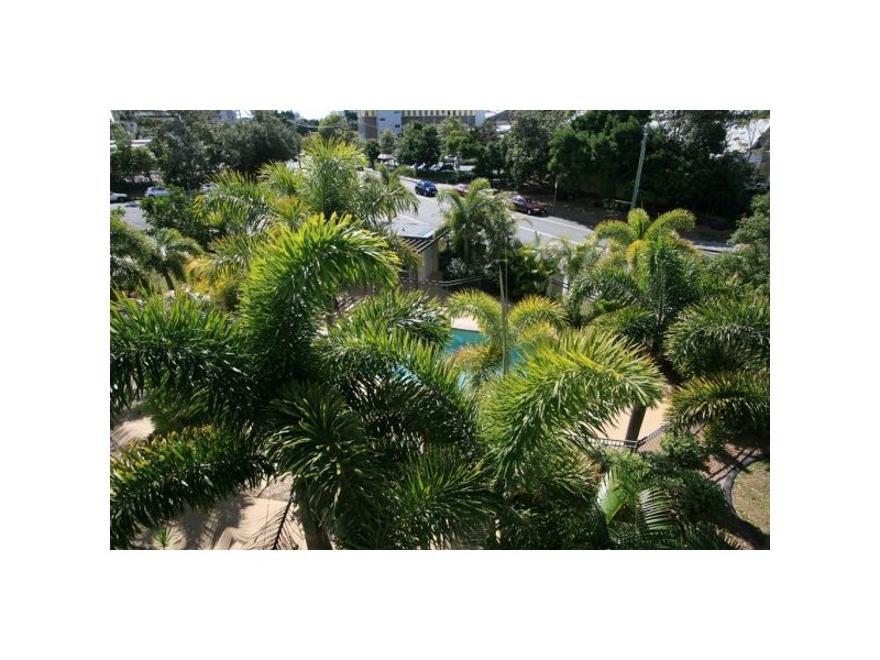 Tweed Heads NSW 2485