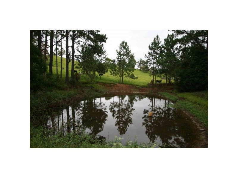 Clothiers Creek NSW 2484