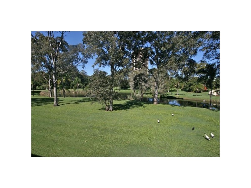 Tweed Heads South NSW 2486