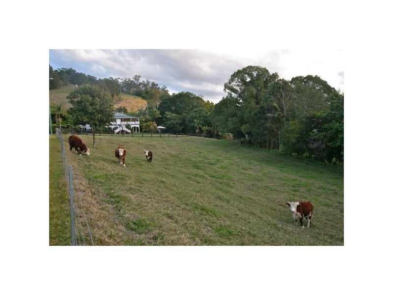 16 Eva Crescent, Piggabeen NSW 2486