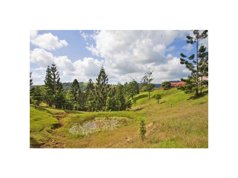18 Pine Tree Place, Piggabeen NSW 2486