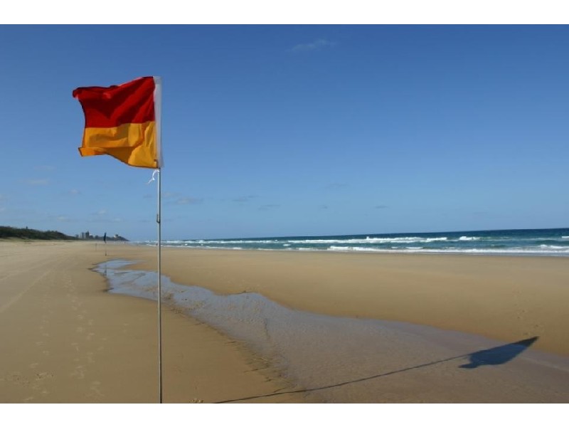 1 Reedlark Place, Kawana Waters QLD 4575