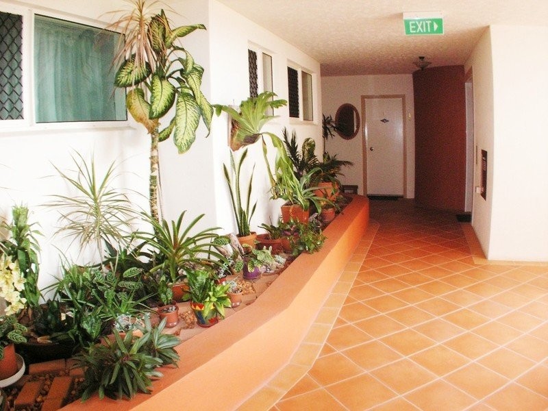 Maroochydore QLD 4558