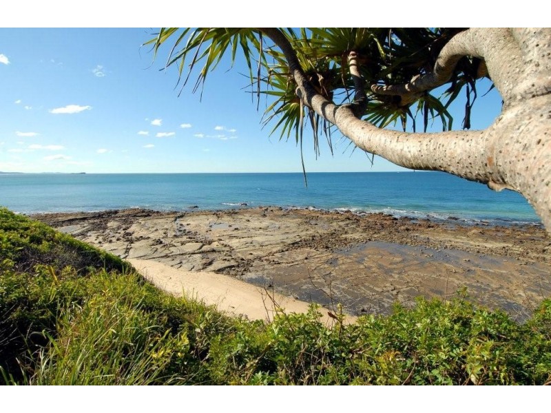 36/274 Alexandra Parade, Alexandra Headland QLD 4572