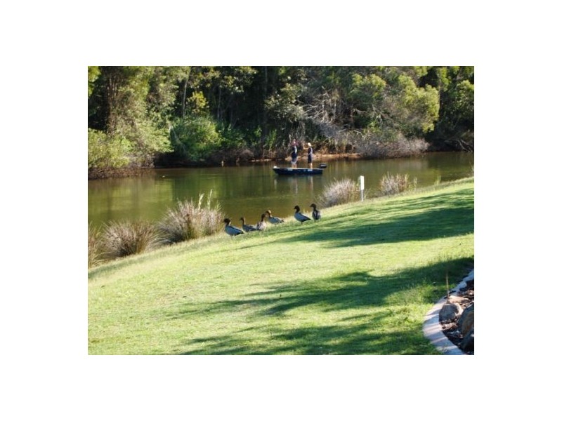 Mudjimba QLD 4564