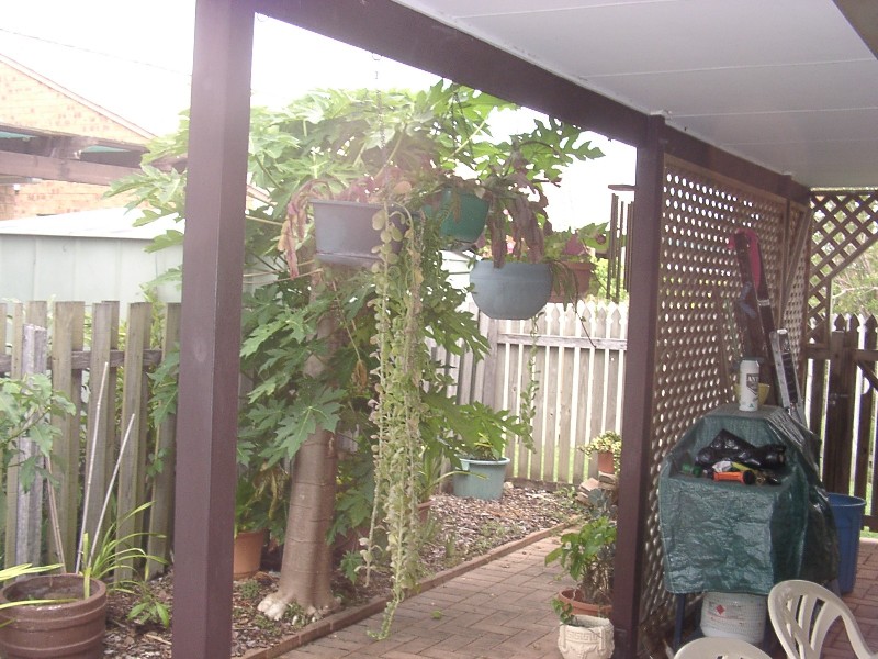 128/4 Longwood Street, Minyama QLD 4575