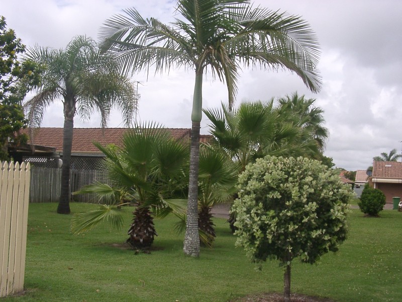 128/4 Longwood Street, Minyama QLD 4575