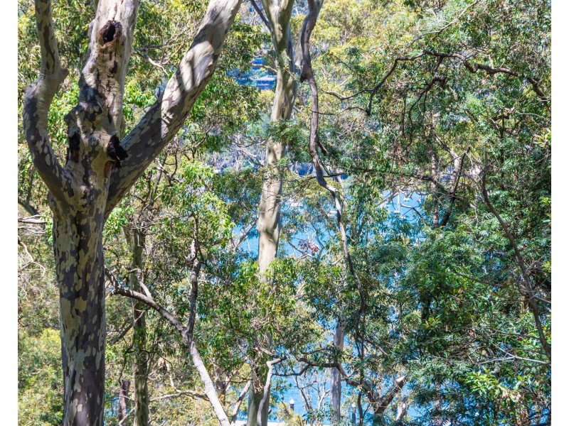 38 Thompson St, Scotland Island NSW 2105