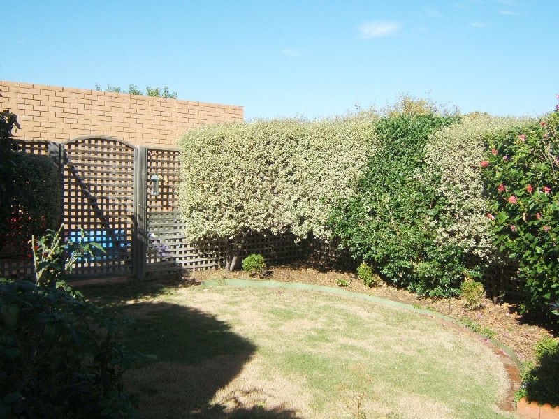 23 Avenue Road, Prospect SA 5082