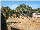 31 Haig Street, Broadview SA 5083