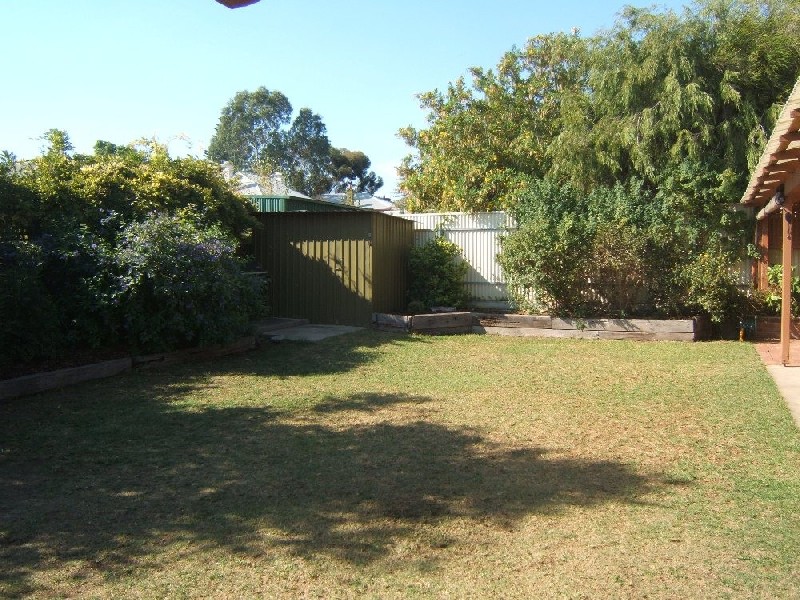 12 Bosanquet Avenue, Prospect SA 5082