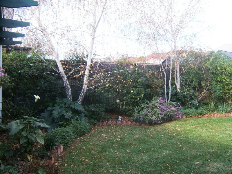 21 Buller Street, Prospect SA 5082