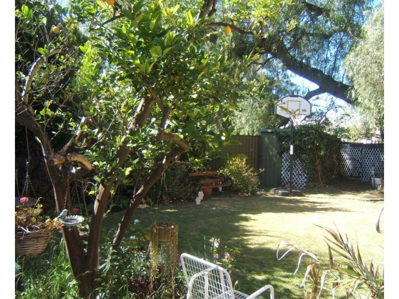 3 Elm Street, Medindie SA 5081